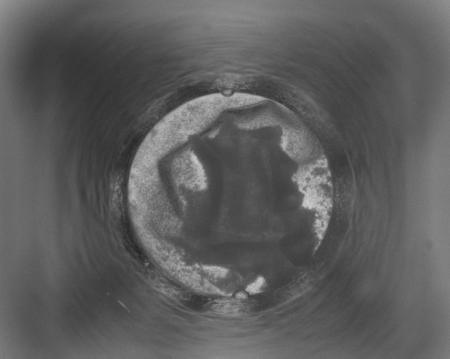 X0000081570127200702121432