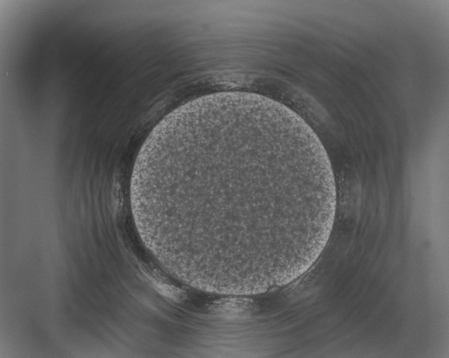 X0000081570128200702121432