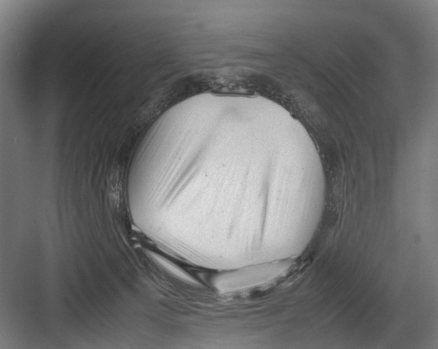 X0000081570129200702121431