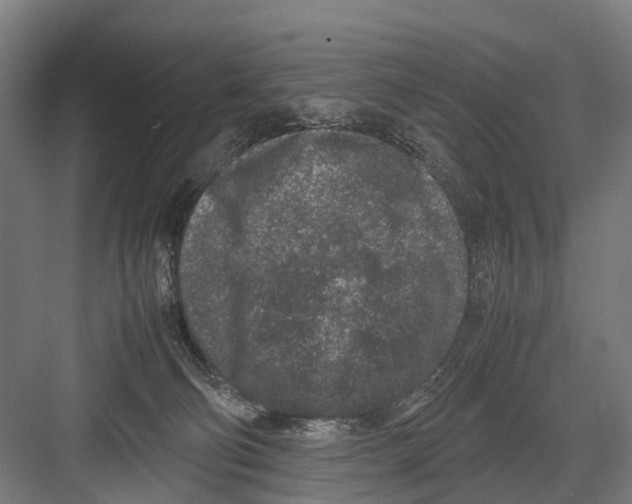 X0000081570130200702121431