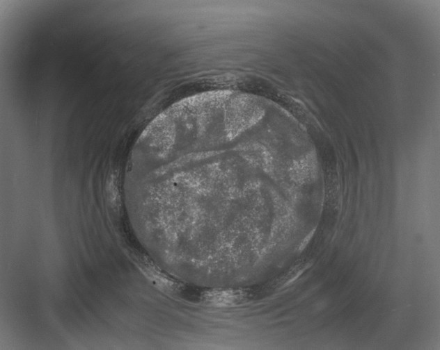 X0000081570131200702121431