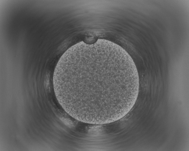 X0000081570132200702121431