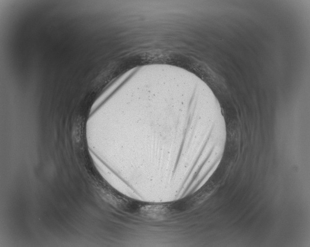 X0000081570133200702121431