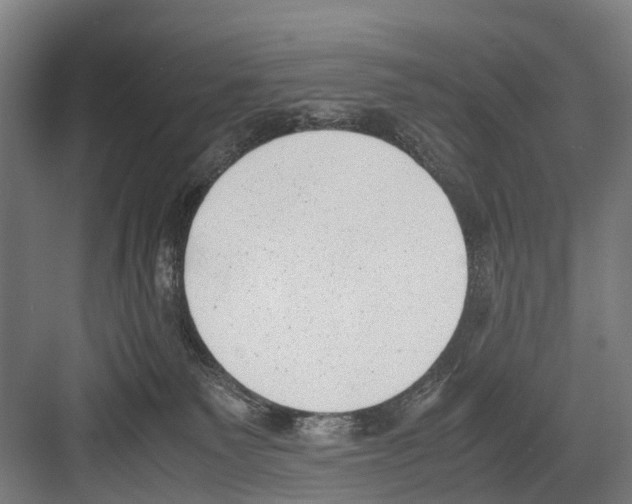 X0000081570135200702121431