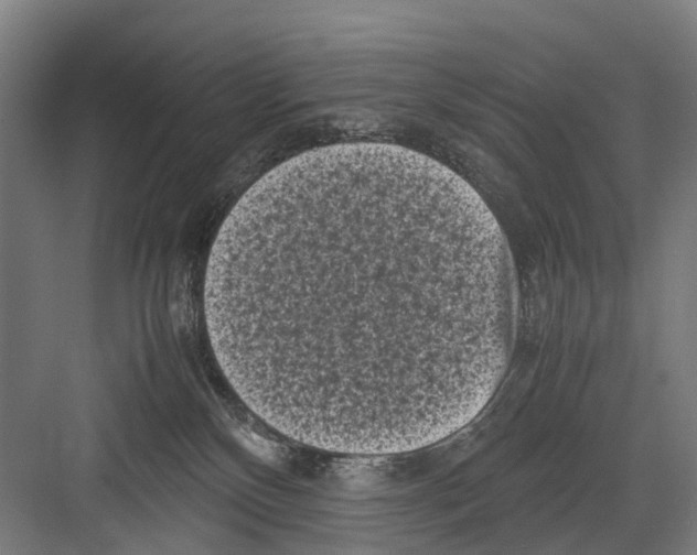 X0000081570136200702121431