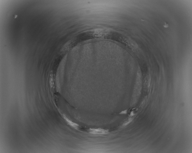 X0000081570137200702121431