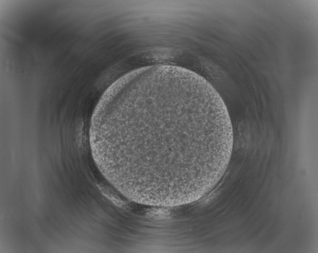 X0000081570140200702121431