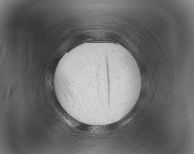 X0000081570141200702121431