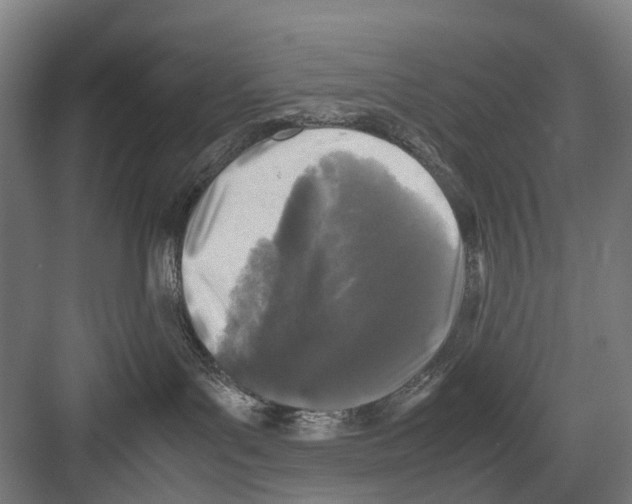 X0000081570143200702121431