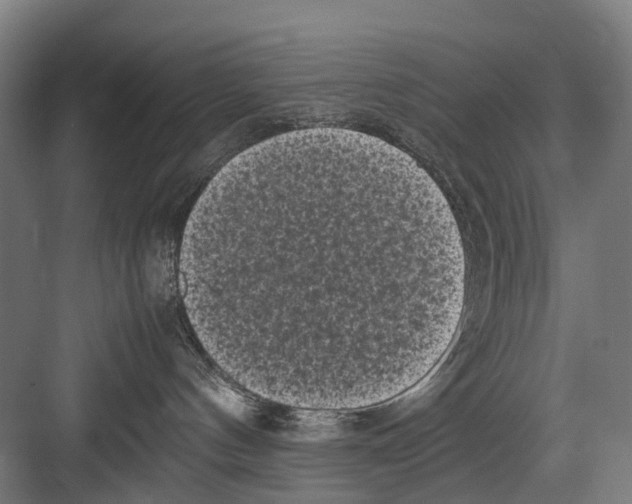 X0000081570144200702121431