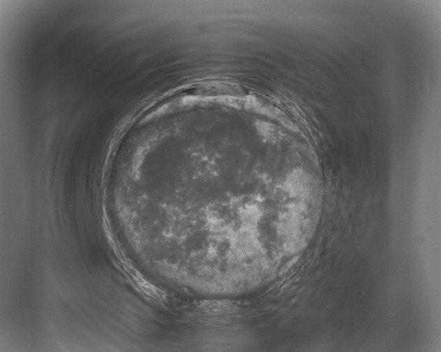 X0000081570145200702121430