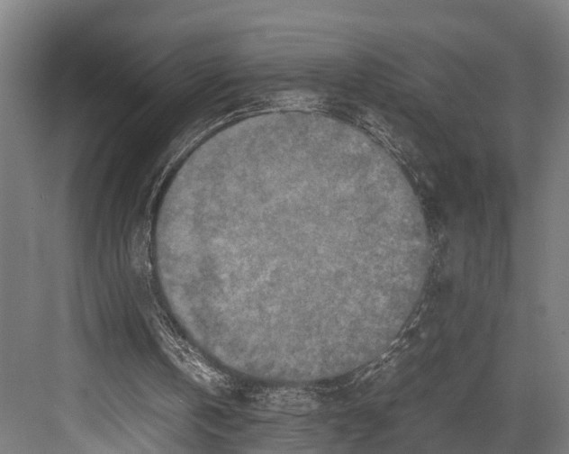 X0000081570146200702121430