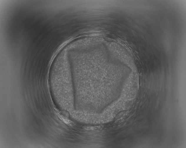 X0000081570147200702121430