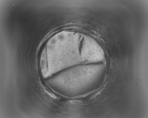 X0000081570150200702121431