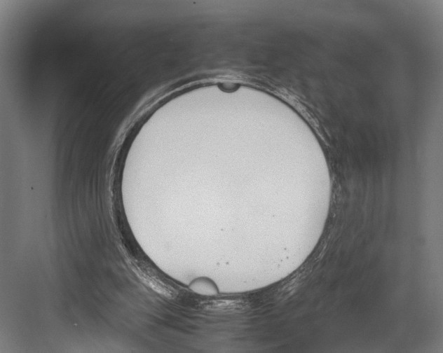 X0000081570151200702121431