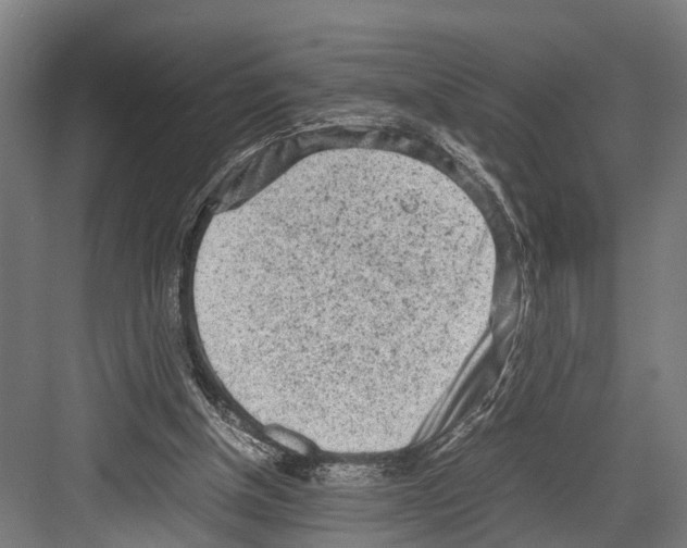 X0000081570154200702121431