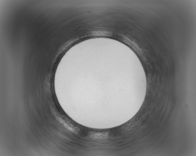 X0000081570155200702121431