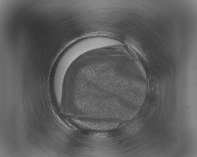 X0000081570156200702121431