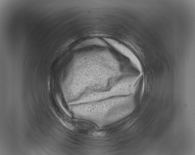 X0000081570157200702121431