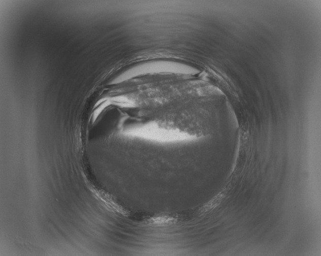 X0000081570158200702121431