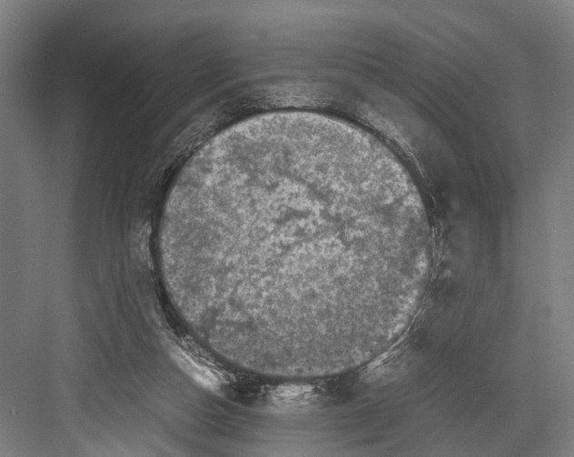 X0000081570162200702121431