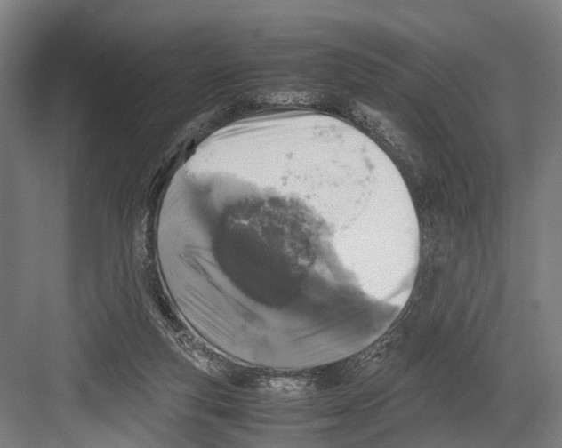 X0000081570163200702121431