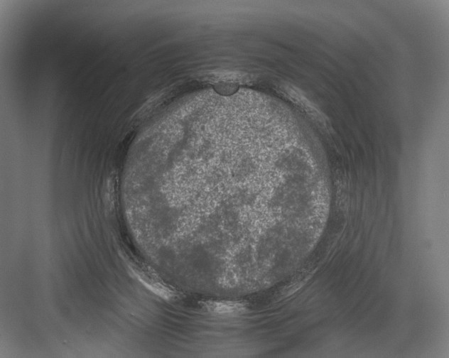 X0000081570165200702121431