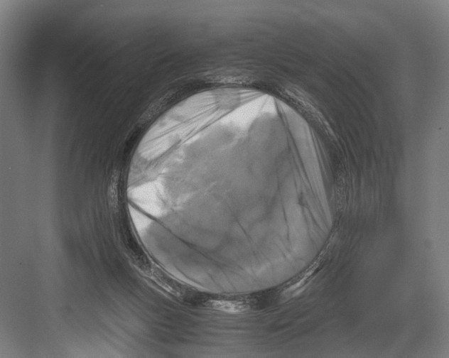 X0000081570167200702121431