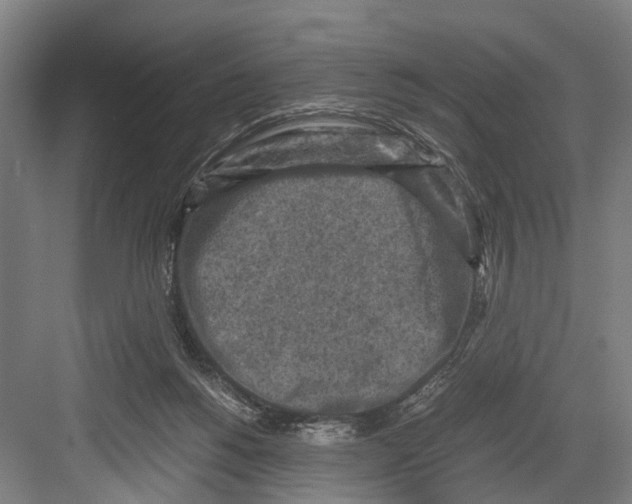 X0000081570168200702121431