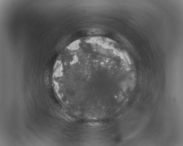 X0000081570169200702121431