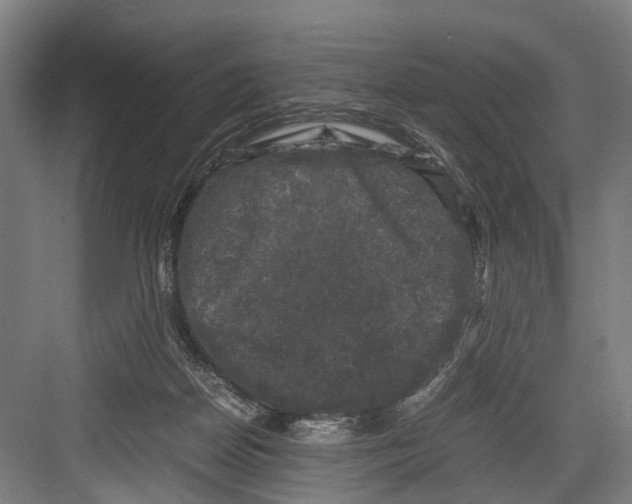 X0000081570170200702121431