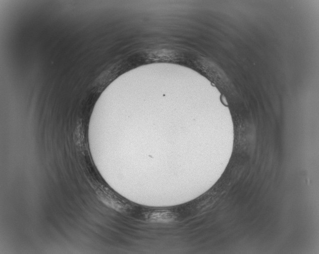 X0000081570173200702121431