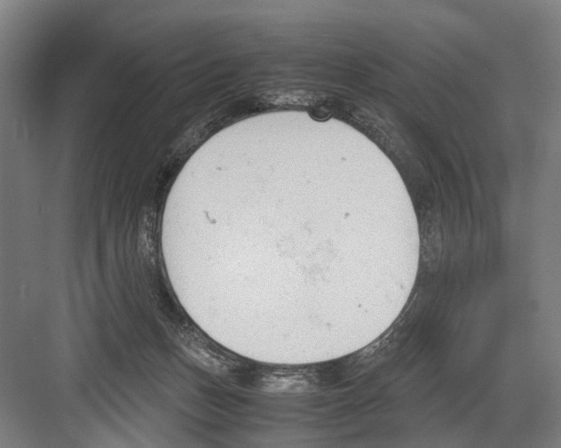 X0000081570175200702121431