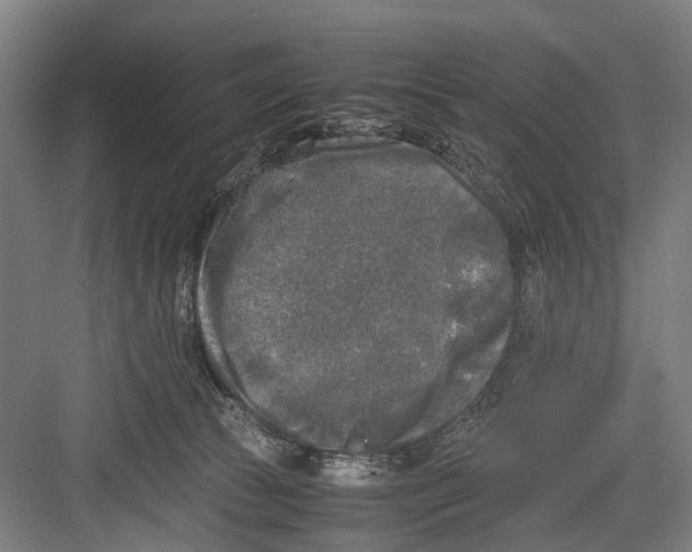 X0000081570177200702121431