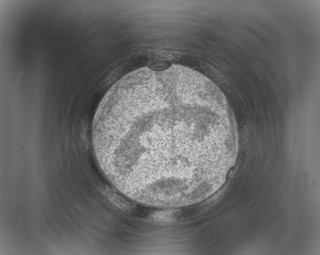 X0000081570178200702121431