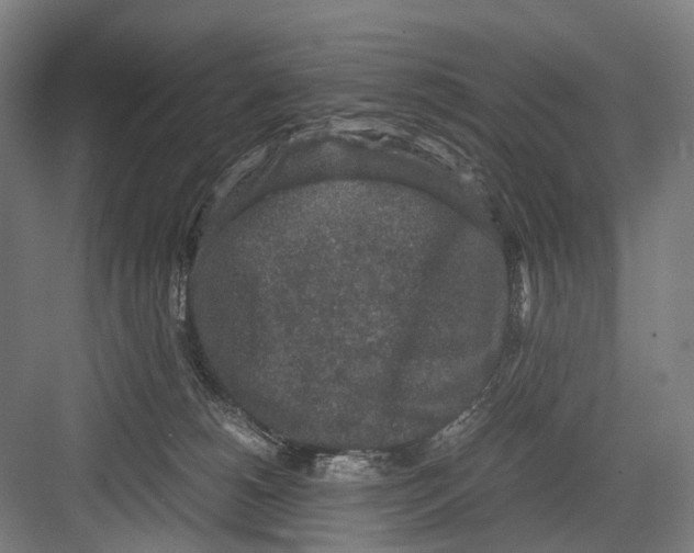 X0000081570180200702121431