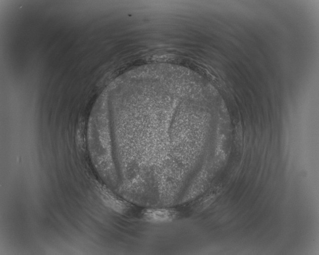 X0000081570181200702121431