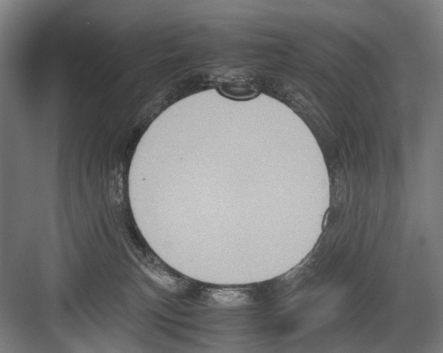 X0000081570183200702121431