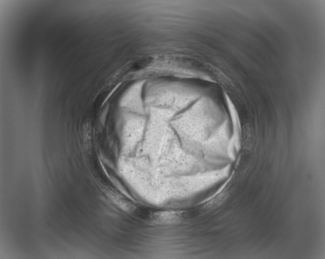 X0000081570184200702121431