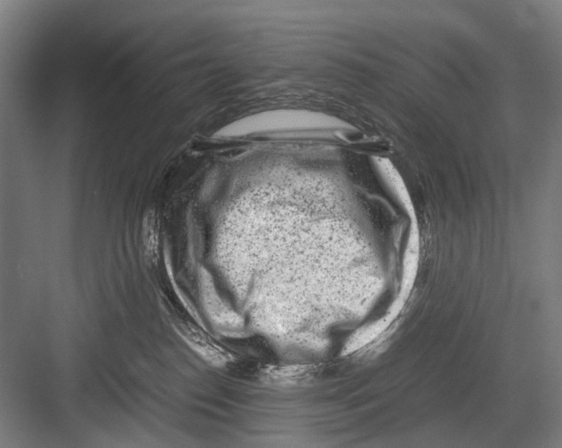 X0000081570186200702121431