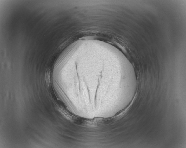 X0000081570190200702121431