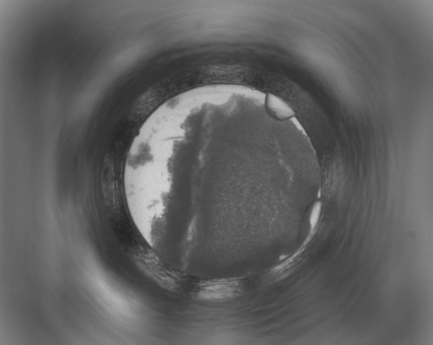 X0000081570191200702121431