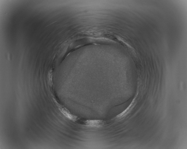 X0000081570192200702121431