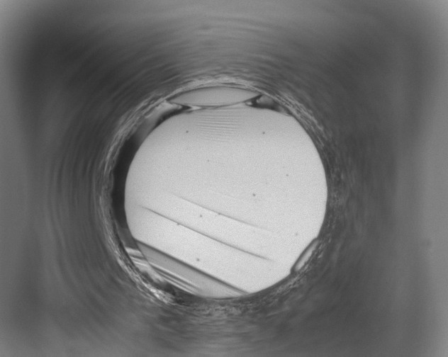 X0000081570193200702121430