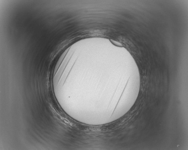 X0000081570194200702121430