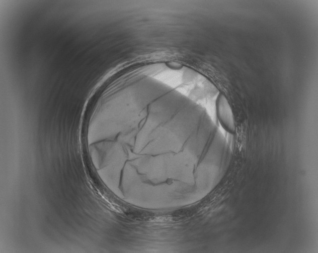 X0000081570196200702121430