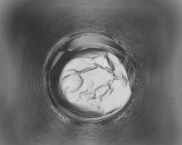 X0000081570197200702121430