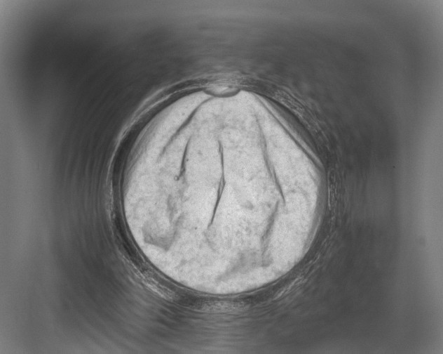 X0000081570198200702121430