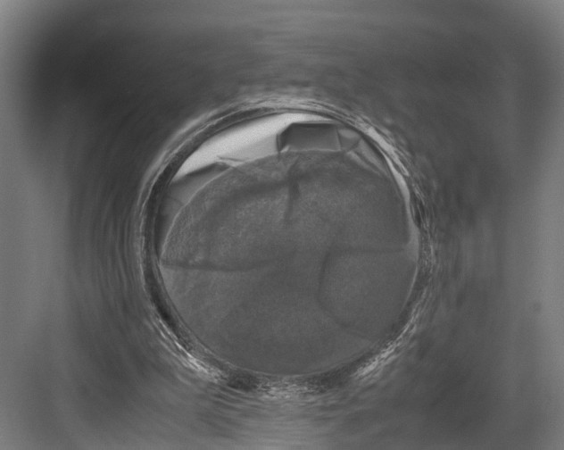 X0000081570199200702121430