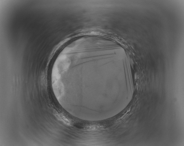 X0000081570200200702121430